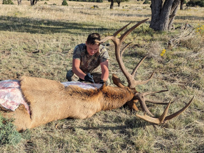 Elk Hunt 2024